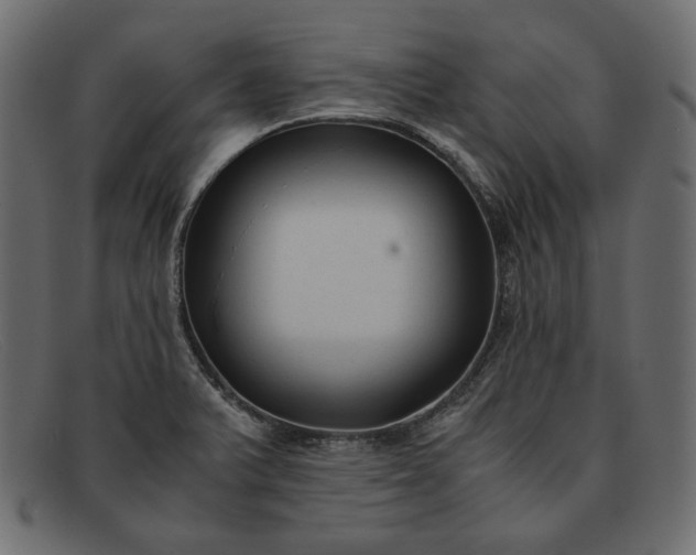 X0000091921375200709191331