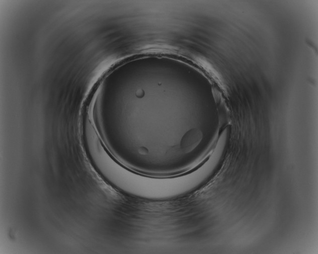 X0000091921376200709191331
