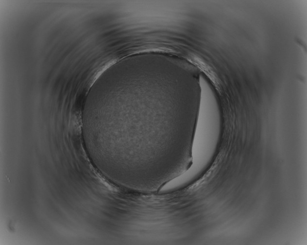 X0000091921377200709191331