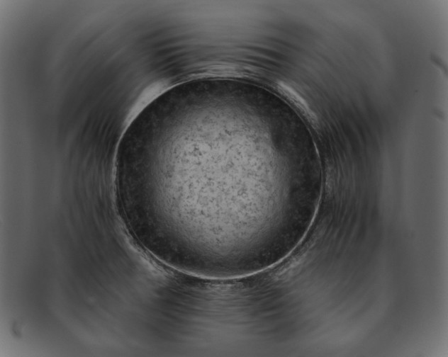 X0000091921378200709191331
