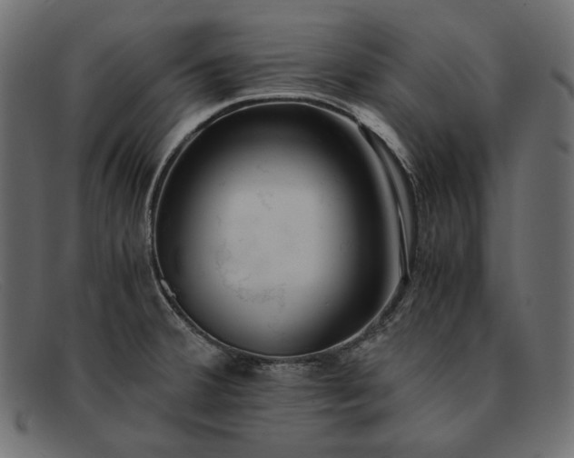 X0000091921380200709191331