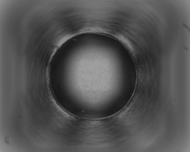 X0000091921382200709191331