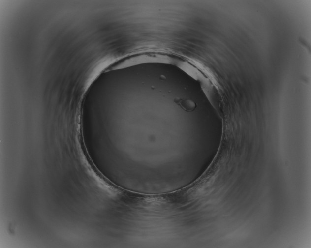 X0000091921383200709191331