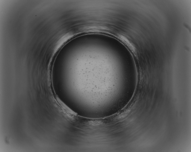 X0000091921384200709191331