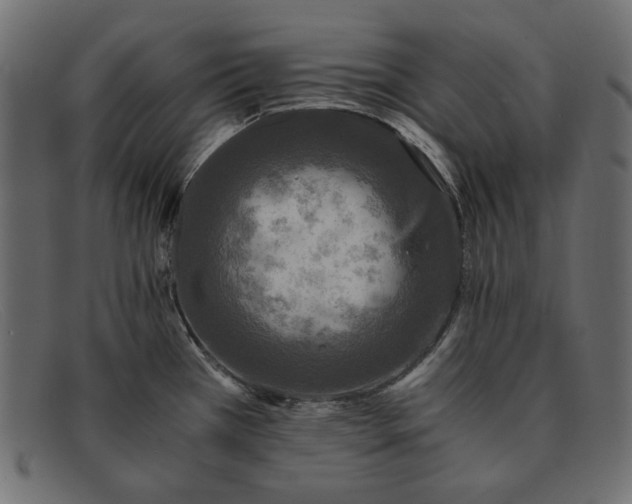X0000091921385200709191331