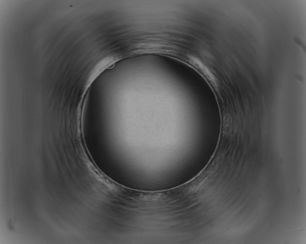 X0000091921386200709191331