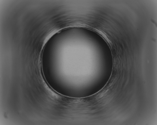 X0000091921387200709191331