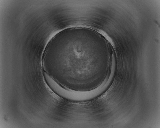 X0000091921388200709191331