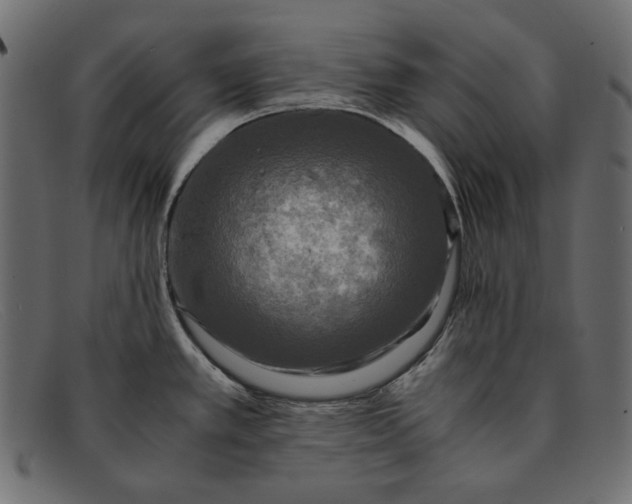 X0000091921389200709191331