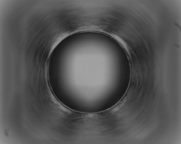 X0000091921390200709191331