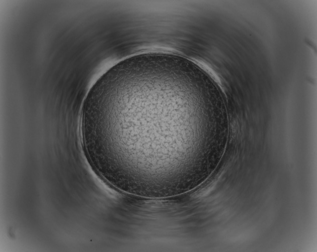 X0000091921391200709191331