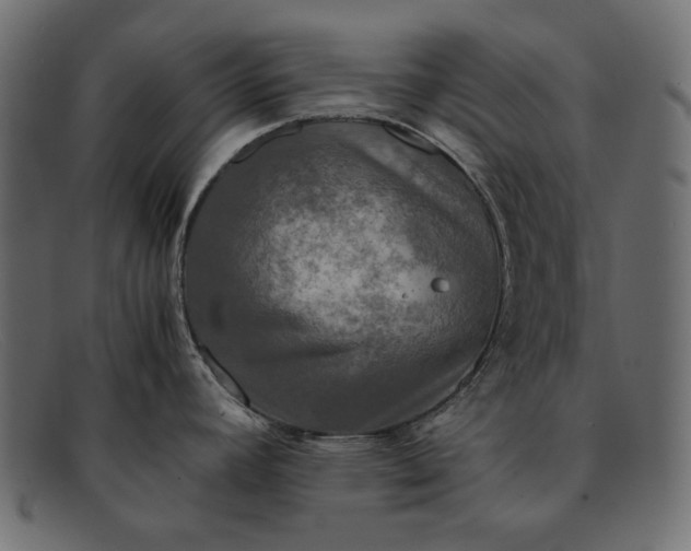 X0000091921392200709191331