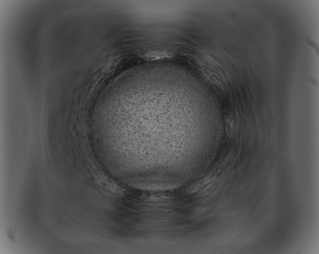 X0000091921393200709191330