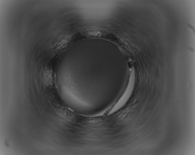 X0000091921394200709191330