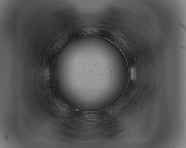 X0000091921395200709191330