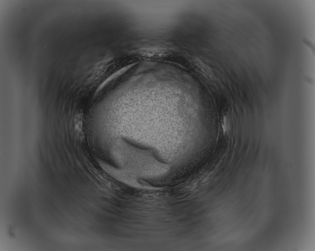 X0000091921396200709191330