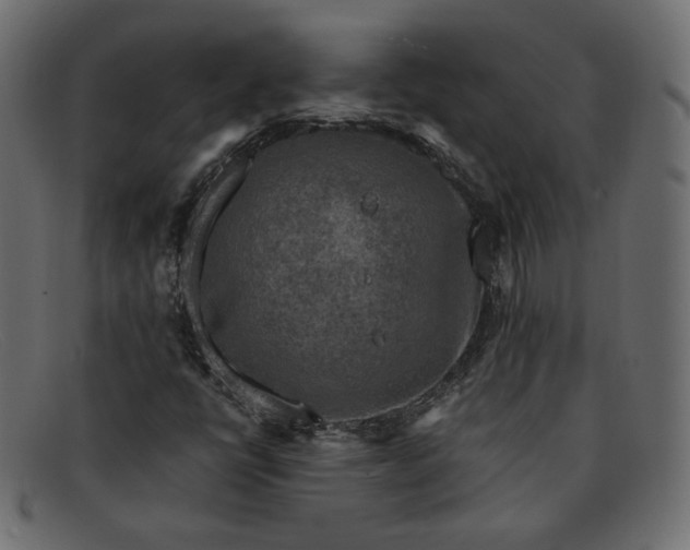 X0000091921398200709191330