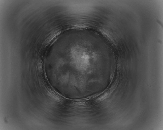 X0000091921401200709191330