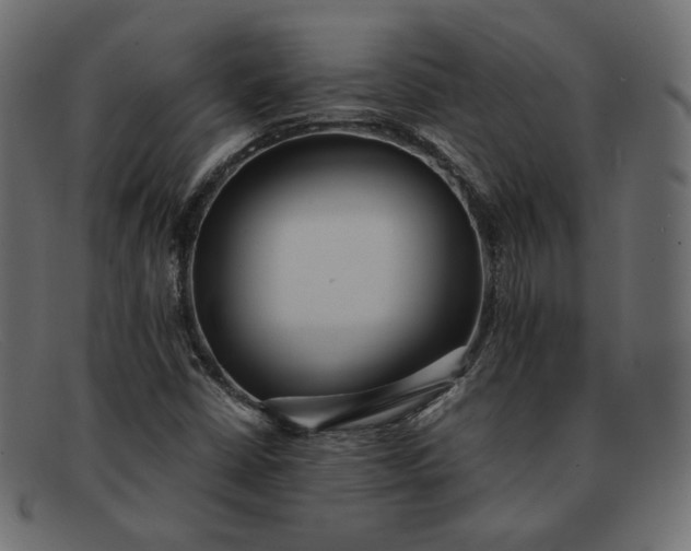 X0000091921402200709191330