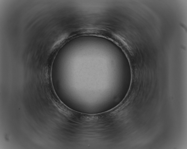 X0000091921403200709191330