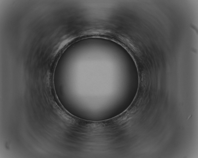 X0000091921404200709191330