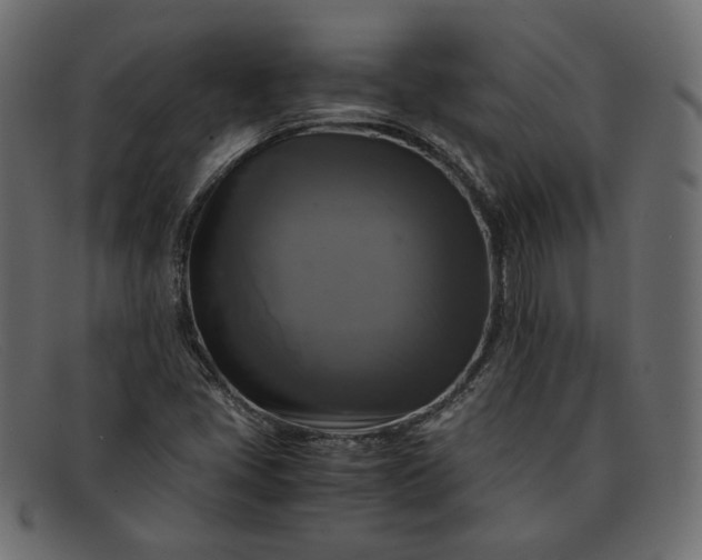 X0000091921405200709191330