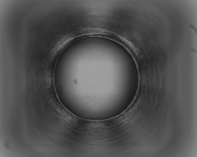 X0000091921407200709191330