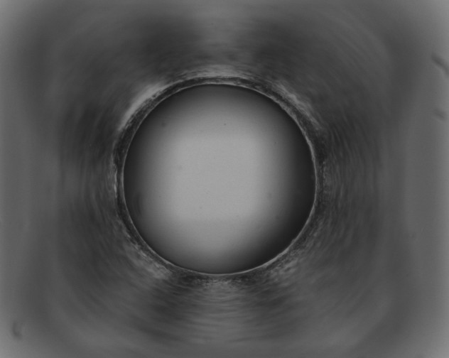 X0000091921408200709191330