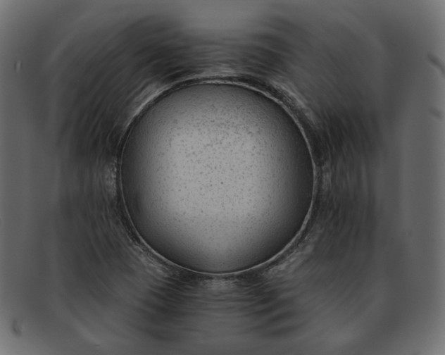 X0000091921409200709191330