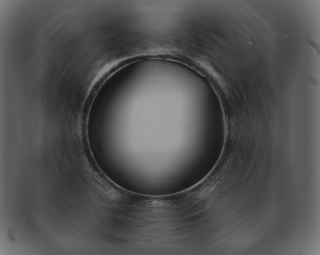 X0000091921412200709191330