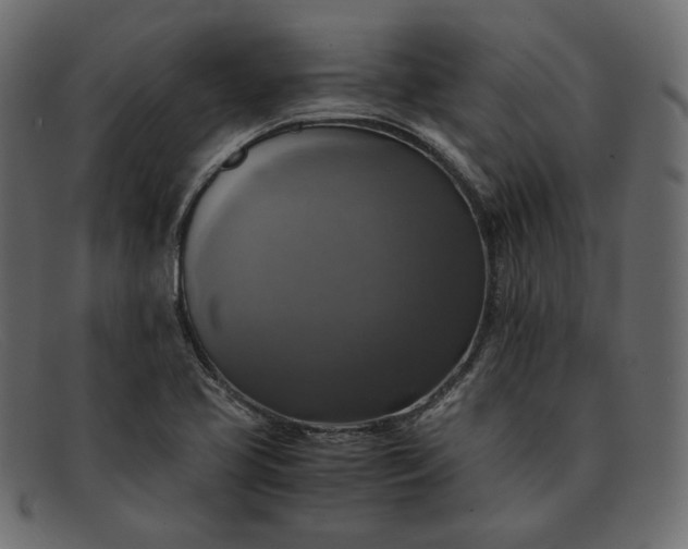 X0000091921413200709191330
