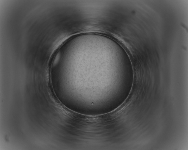 X0000091921415200709191331