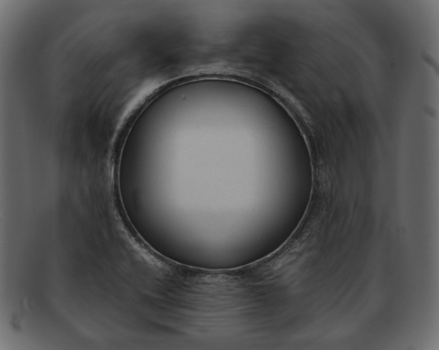 X0000091921416200709191331