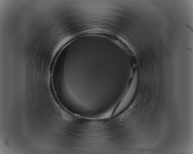 X0000091921418200709191331