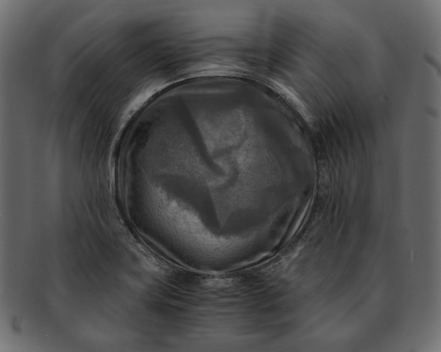 X0000091921419200709191331