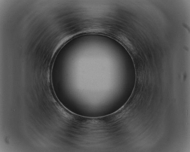 X0000091921420200709191331