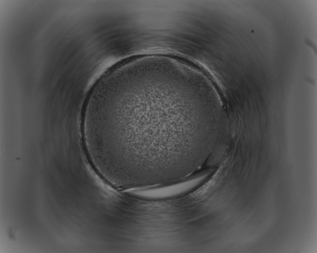 X0000091921422200709191331