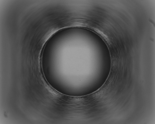 X0000091921423200709191331
