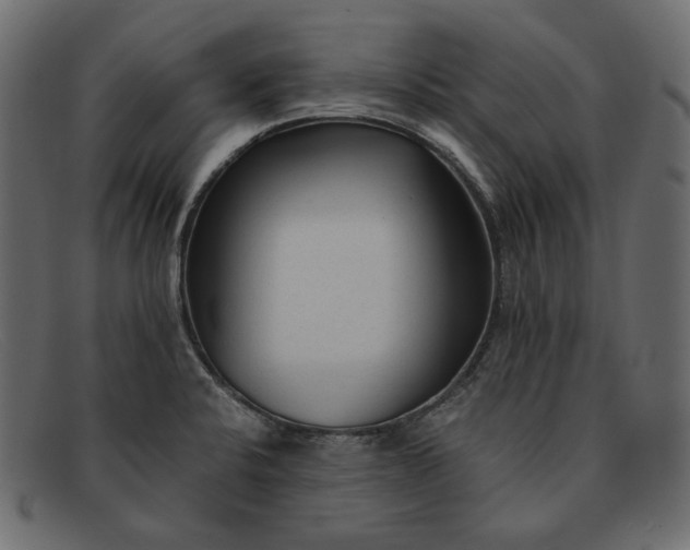 X0000091921424200709191331