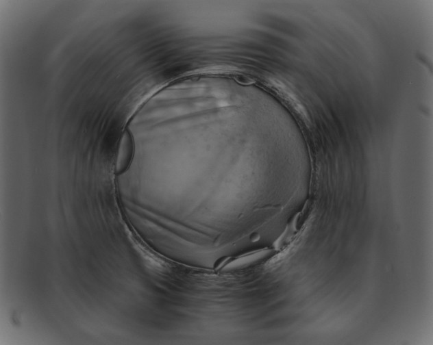 X0000091921425200709191331