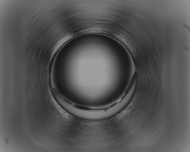 X0000091921426200709191331
