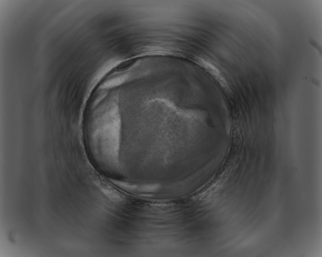 X0000091921427200709191331