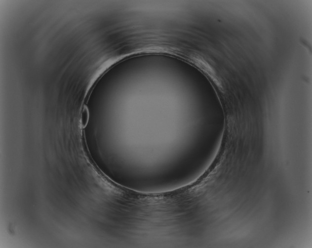 X0000091921428200709191331
