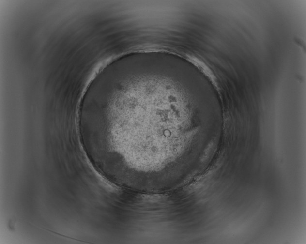 X0000091921429200709191331
