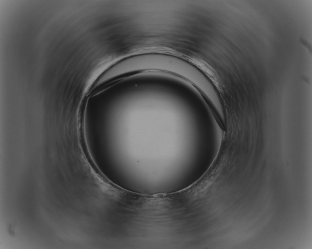 X0000091921430200709191331