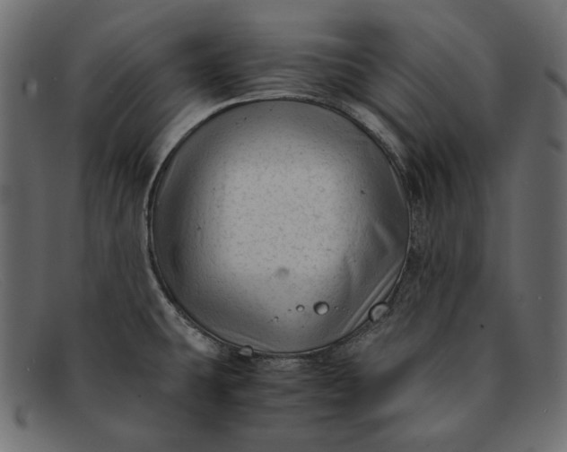 X0000091921431200709191331