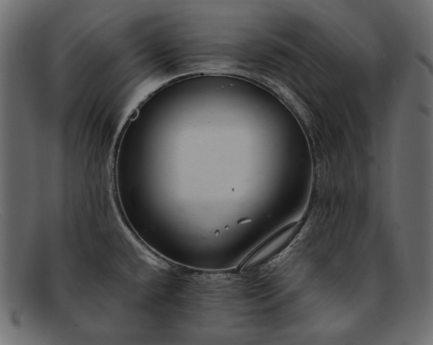 X0000091921432200709191331