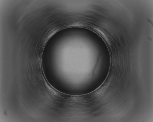 X0000091921433200709191331