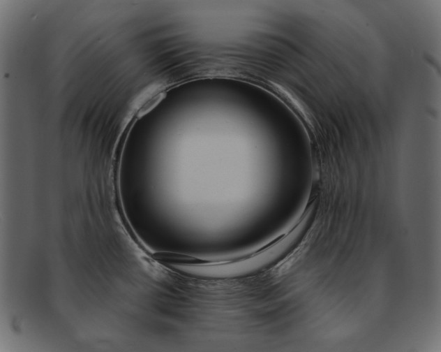X0000091921434200709191331
