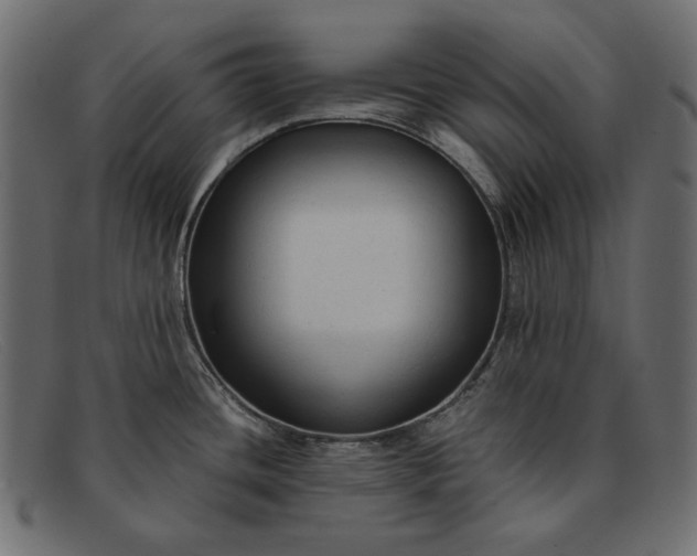 X0000091921436200709191331